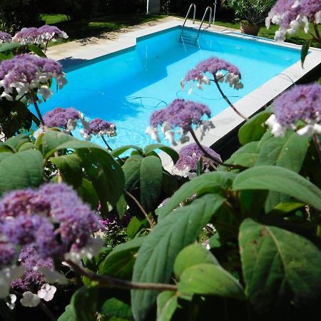 Four Seasons Apartment "Green Paradise" Філлах Екстер'єр фото